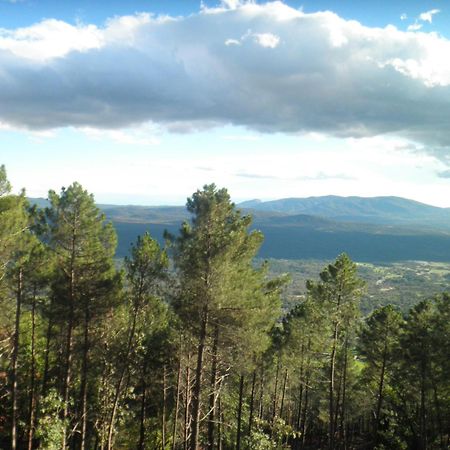 Amatalasvinas Piedralaves Buitenkant foto