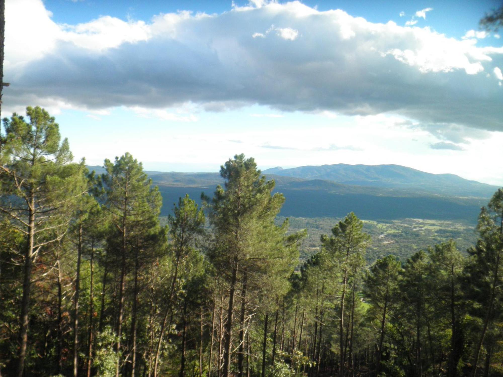 Amatalasvinas Piedralaves Buitenkant foto