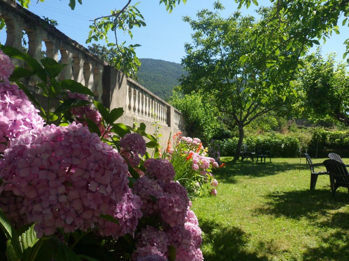 Amatalasvinas Piedralaves Buitenkant foto